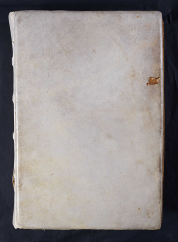 « Incipit liber Brucardi, episcopi nomine solo Marwortiensis (sic). Multis jam sepe diebus... »