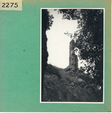 Rochefort-sur-Loire : Ruines de Saint Offange