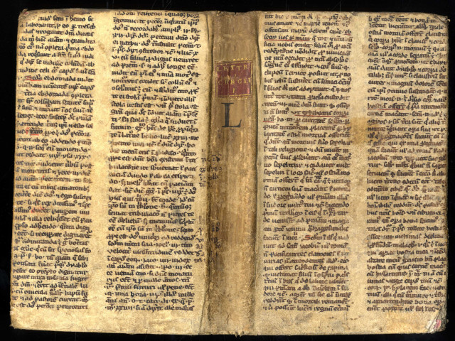 Fragment du sermon dominical XVI