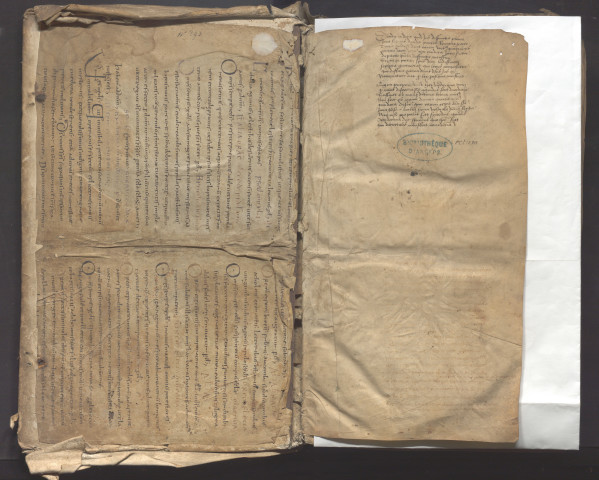 Gratien. Décret, avec la glose de Barthélemi de Brescia