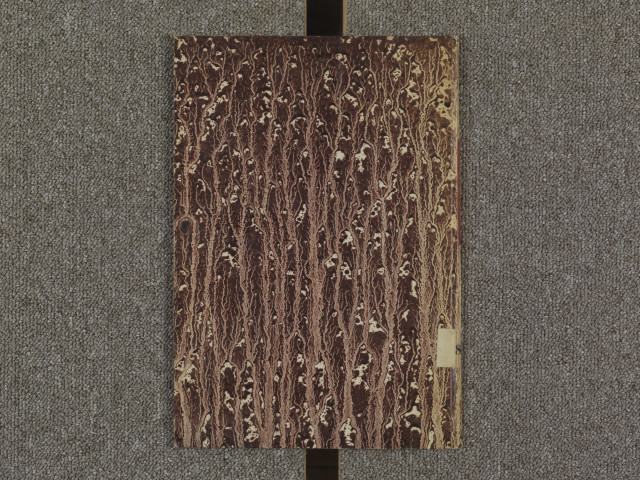 Copie du traité de Guérande, de 1366, entre Jean, duc de Bretagne, et Jeanne, comtesse de Penthièvre