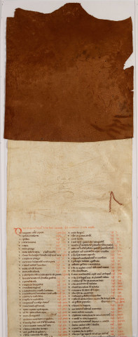 Cartulaire de l'abbaye de Notre-Dame du Ronceray, en six rouleaux opisthographes. « Quartus rotulus » : longueur 4,483 m. Cent chartes, table en tête.