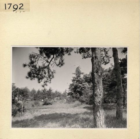 Angers : Parc de la Garenne