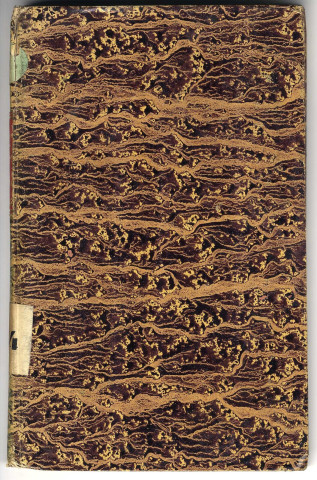 Journal des campagnes d'Armand de Lostanges, lieutenant aux chasseurs de la garde impériale, en Pologne et en Espagne