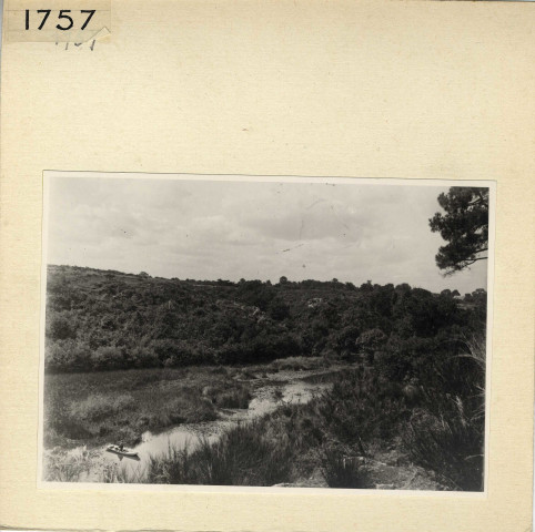 Angers : Parc de La Haye