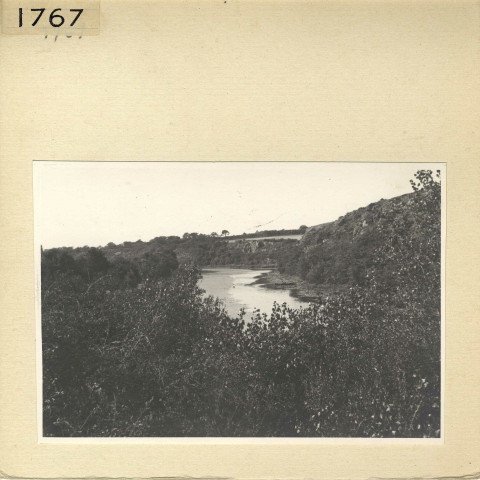 Angers : Parc de La Haye, étang Saint-Nicolas