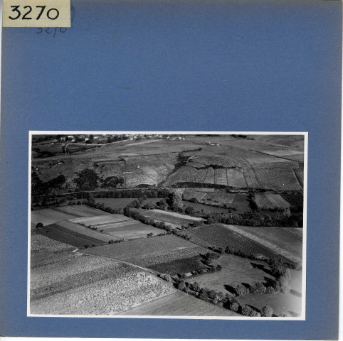 Beaulieu-sur-Layon : Vignoble, vue aérienne