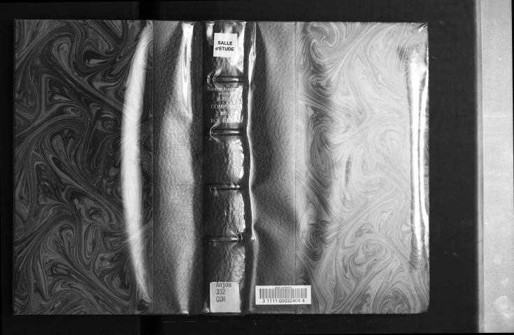 Les Comptes du roi René. Tome 1