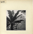 Angers : Jardin des Plantesl