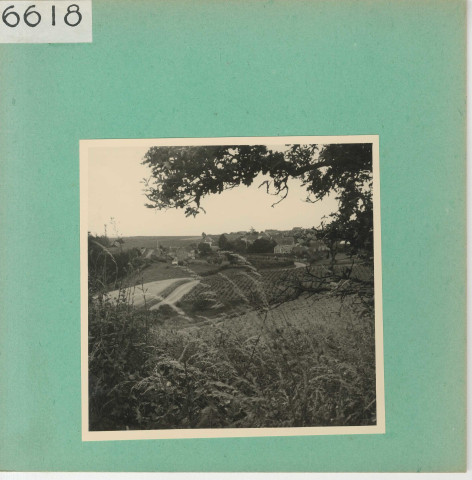 Anjou : Vignoble angevin