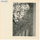 Angers : Orgue, détails (Cathédrale)