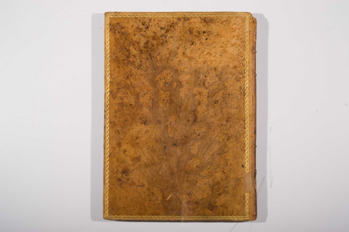 Geste des Bretons en Italie, ou Roman de monsieur Sylvestre, ou Histoire en vers des expéditions des Bretons en Italie, au temps du pape Grégoire XI, suivie de la Remembrance de l'élection pontificale de Clément VII à Avignon le 1er novembre 1378, composées par Guillaume de la Penne, suivies de la Remembrance de Du Guesclin (par Guillaume Corr ?)