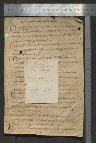 Propre de la messe de saint Barthélemy apôtre, de sainte Sabine et de la décollation de saint Jean-Baptiste. Fragment d'un sacramentaire ou d'un pontifical (IXe-Xe siècle)
