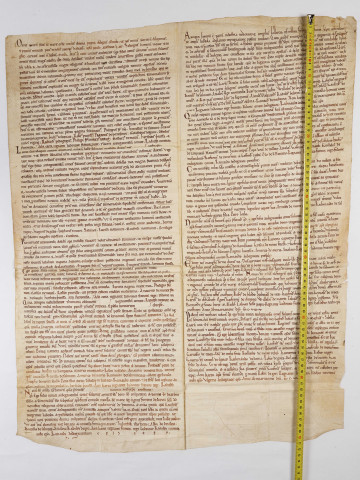 Pancarte du XIIe siècle, renfermant la copie de plusieurs donations du comte d'Anjou, Foulques V, à l'Ordre de Fontevraud.