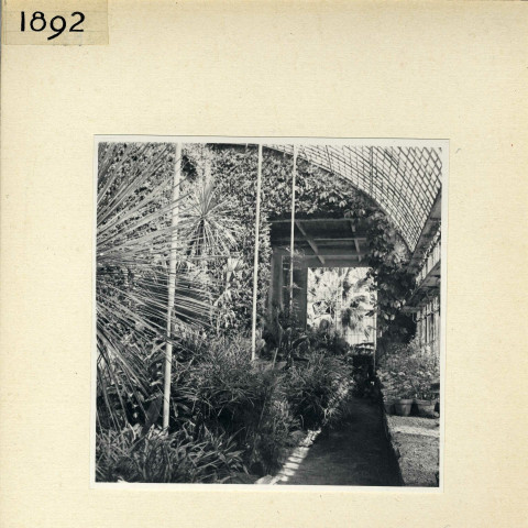 Angers : Serre, jardin des Plantes