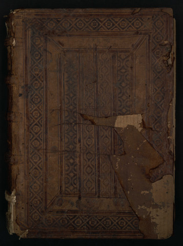 Tractatus exponibilium et fallaciarum magistri Anthonii Coronel Segobiensis