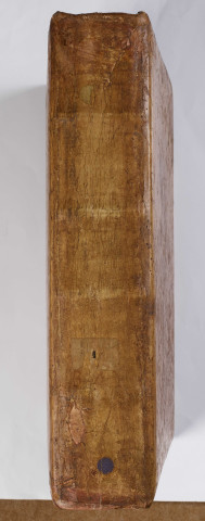 Bible latine, en deux volumes. [Volume 1]