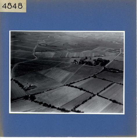 Rochefort-sur-Loire : Chaume (vue aérienne)