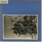 Plessis-Macé : Château du Plessis-Macé (vue aérienne)