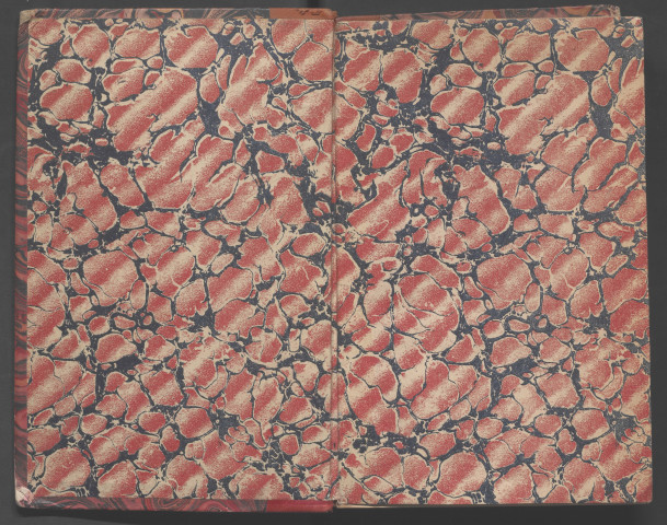 Cartulaire noir de la cathédrale d'Angers