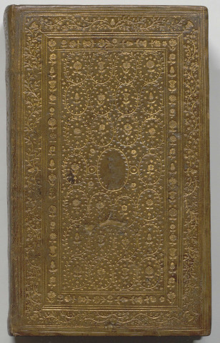 Heures de Nostre Dame A l'usage de Rome en latin et françois reveues corrigees et enrichies de devotes Oraisons et belles figures