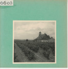 Rochefort-sur-Loire : Vignoble angevin, Moulin de Piégüe