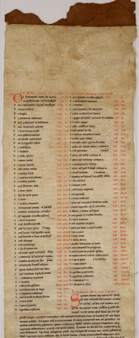 Cartulaire de l'abbaye de Notre-Dame du Ronceray, en six rouleaux opisthographes. « Primus rotulus » : longueur 5,448 m, largeur 0,300 m. Cent chartes, dont table en tête.