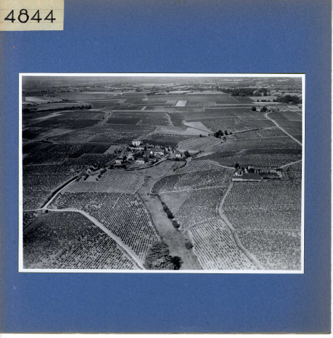 Rochefort-sur-Loire : Chaume (vue aérienne)