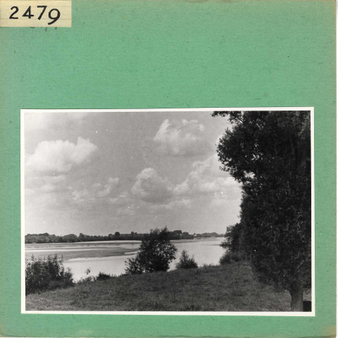 La Bohalle : La Loire