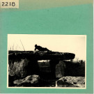 Soucelles : Dolmen de la Pierre Levée