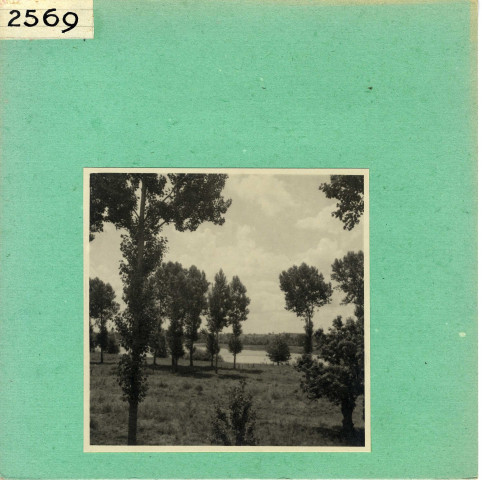 Saint-Mathurin-sur-Loire : La Loire