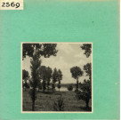 Saint-Mathurin-sur-Loire : La Loire