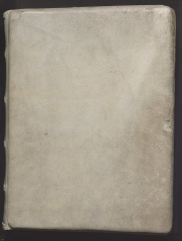 « Aurelii Augustini in Johannem euvangelistam commentarium incipit »