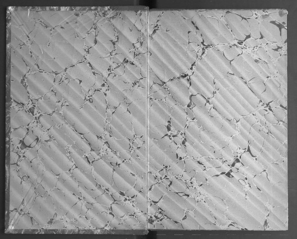 Les artistes peintres angevins d'après les archives angevines