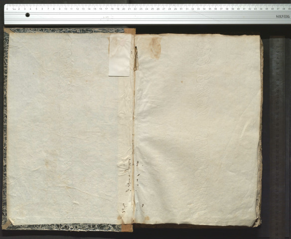 Treize comptes de dépenses de la maison de Diane de Poitiers, chacun signé d'elle. Extraordinaire de septembre 1546