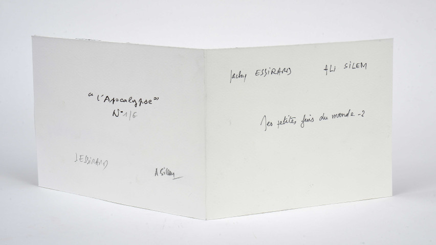 Mes petites fins du monde. 2