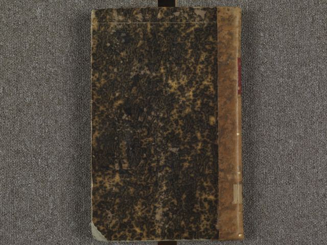 Recueil d'armoriaux angevins