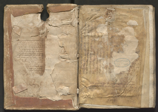 « Incipit liber de secretis mulierum, editus ab Alberto Magno, doctissimo philosopho, de ordine fratrum Predicatorum. Dilecto sibi in Christo socio ac amico et clerico de tali loco, E. scolaris talis loci. Vere sapiencie et illius... »