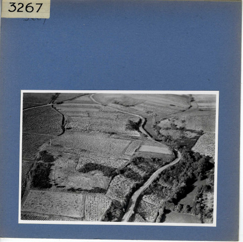 Beaulieu-sur-Layon : Vignoble, vue aérienne