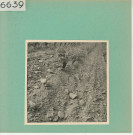 Anjou : Vignoble angevin