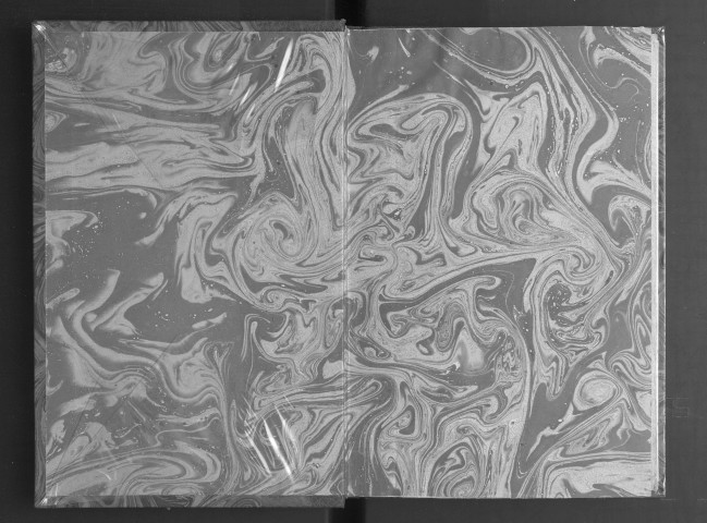 Les Comptes du roi René. Tome 2