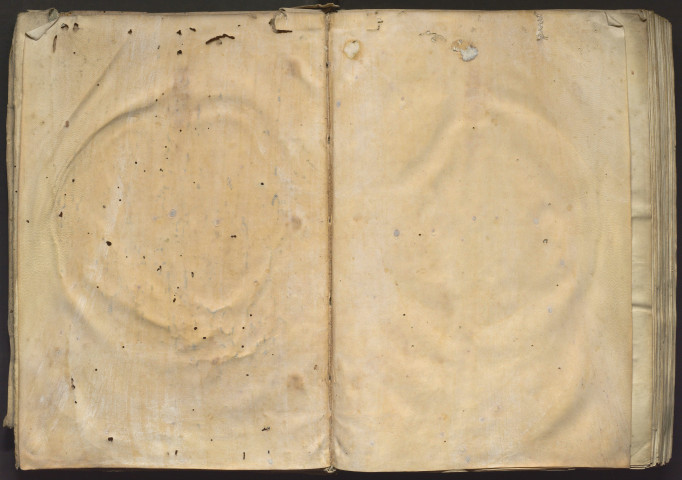 « Hic incipit liber canonis primus, quem princeps Albohali Avicenna de medicina edidit. Verba Albohali Avicenne : In primis Deo gratias... » Livres I, II et IV