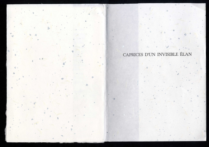 Caprices d'un invisible élan