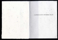 Caprices d'un invisible élan