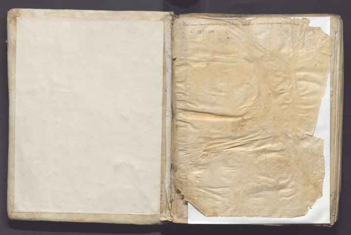 « In nomine Dei patris et filii et spiritus sancti. Incipiunt in expositione beati Job Moralia Gregorii, papae urbis Rome, per contemplationem libri sex. Incipit liber decimus septimus... Explicit liber vicesimus quintus »