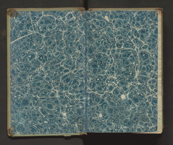 Flore de Maine-et-Loire