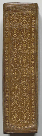 Heures de Nostre Dame A l'usage de Rome en latin et françois reveues corrigees et enrichies de devotes Oraisons et belles figures