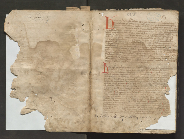 Recueil d'extraits de théologie