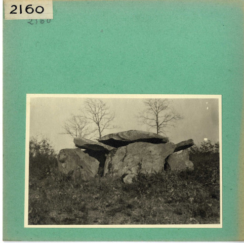Vieil : Dolmen de la Pidoucière