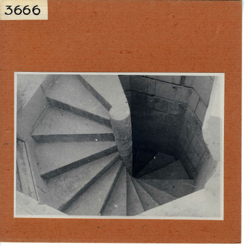 Montsoreau : Voûte de l'escalier